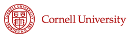 Cornell University Consultant